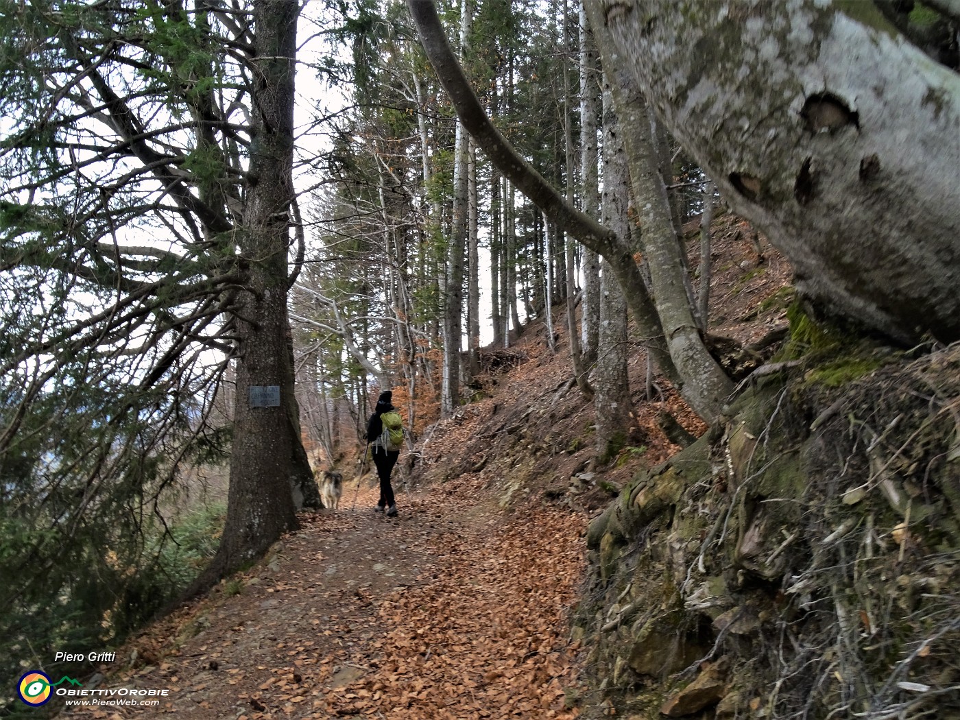 56 E via a passeggiare intorno ai prati della Pigolotta.JPG